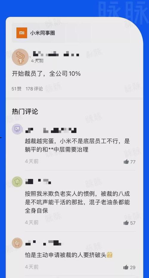 小米员工最新爆料,揭秘公司最新动态与未来规划”